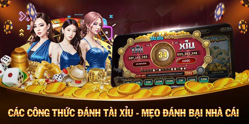 K8.cc Cược đá gà trực tiếp tại Thomo K8.cc Cược đá gà trực tiếp tại Thomo